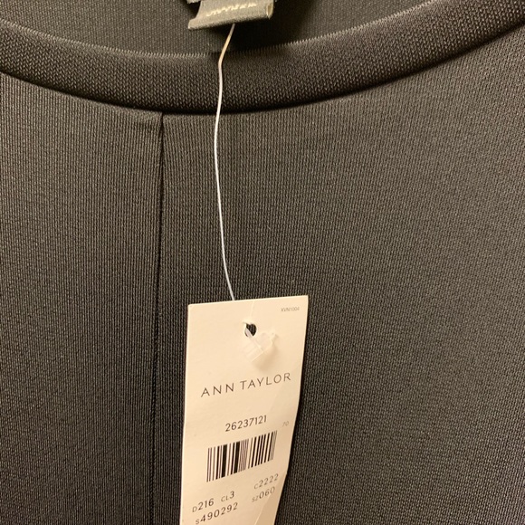 Brand new Ann Taylor dress - Picture 3 of 3